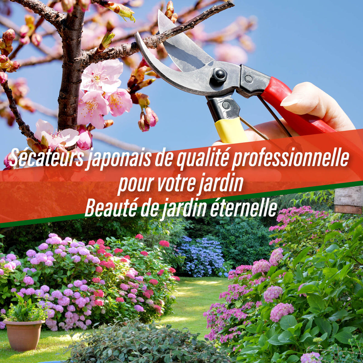 Sécateur à Crémaillère,Ciseaux de jardinage professionnels,2 paquets Sécateur à Crémaillère,Ciseaux de jardinage professionnels,2 paquets